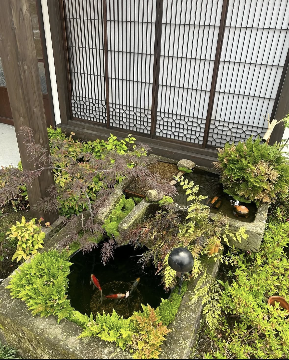 古民家×飲食店の写真5_2